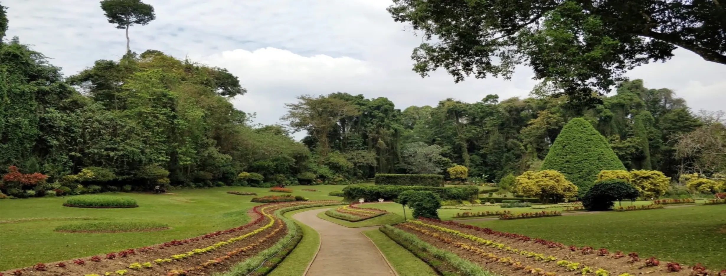 Image for Botanical Gardens